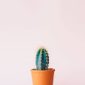 Meet your Posher, Laura e.